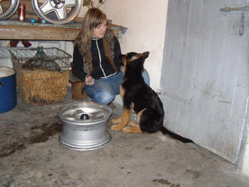 pucu pucu... :)