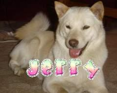 jerryt