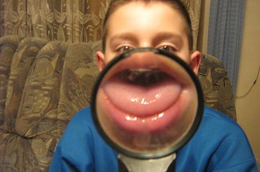 #miny #kaczor #śmieszne