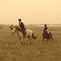 Galop na lotnisku