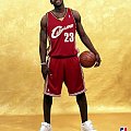 JAMES "KING" LEBRON 23