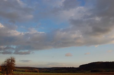 Wczoraj deszcz a dzisiaj ogromnie zimny wieczor i zupelnie inny zachod slonca.Byl juz zmierzch,a silny odblask zachodzacego slonca sprawil,ze drzewa wygladaly tak cudownie, jak rozzarzone . #ZachodSlonca #piekno
