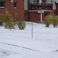 Pierwszy dzień wiosny 2008 r.