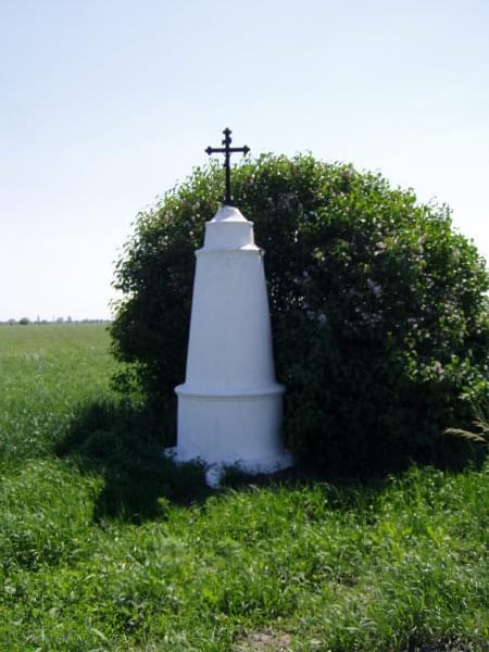 Krzyż na szlaku Nasierowo-Ciemniewko