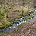 potok w Wicklow Mountains