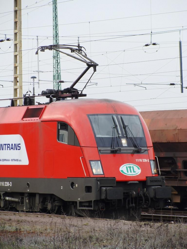 #DeutscheBahn #KolejNiemcy #Guben #Rzepin #Frankfirt #Oderbrucke #Czerwieńsk #Krzepów #Rudna #ChełmekWołowski #Taurus #BR1116 #BR232 #BR186