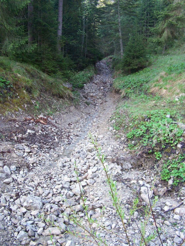 Tatry Zachodnie 2007