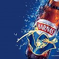 #piwo #harnaś #tapeta