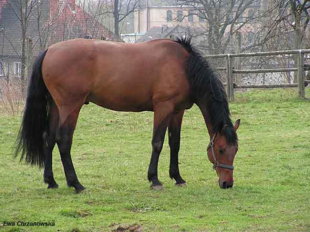 08.04.2008 Łomnica II trening