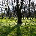 W parku miejskim powoli wiosna, jeszcze długie cienie kładą się na trawę ale już niedługo.... #ParkMiejski #Gdańsk #drzewa #cienie #trawa #wiosna