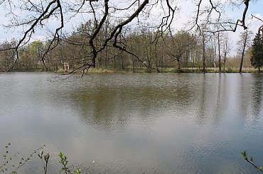 Las Nadleśnictwa Brzeziny w Kaletniku gm. Koluszki #Koluszki #wiosna #las #Nadlesnictwo #Brzeziny #Kaletnik #staw #Lisowice #Rochna