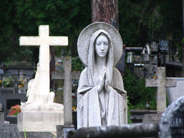Maryja z przemyskiego cmentarza #cmentarz #fugura #maryja #krzyż #przemyśl