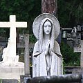 Maryja z przemyskiego cmentarza #cmentarz #fugura #maryja #krzyż #przemyśl