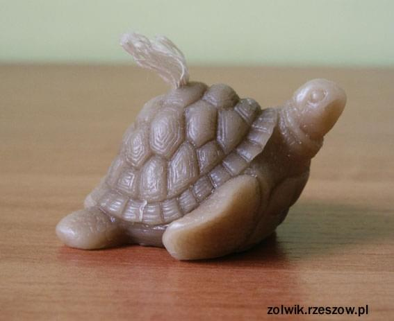 żółwik świeczka #żółw #żólwik #kolekcja
