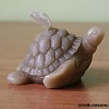 żółwik świeczka #żółw #żólwik #kolekcja