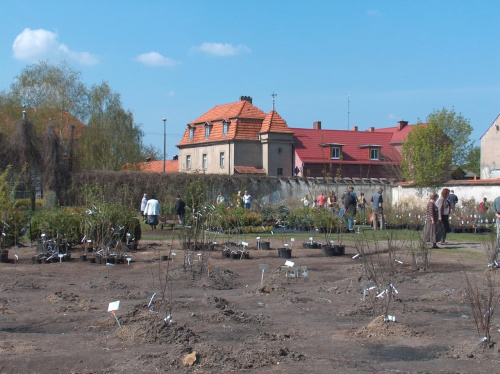 Arboretum Kornik -Wielkopolska
