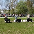BYŁO SUUUUUPEEEER :))))