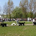 BYŁO SUUUUUPEEEER :))))