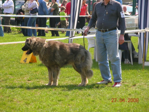 Opole 2008