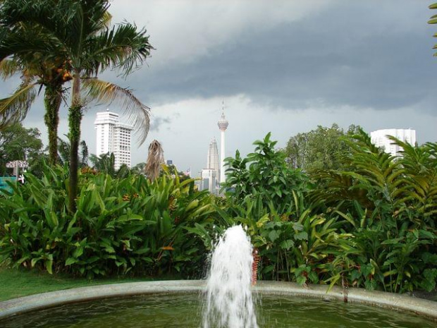 Kuala Lumpur Orchid Garden Ogród Orchidei) i widok na Petronas Towers oraz Menara Kuala Lumpur