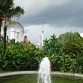 Kuala Lumpur Orchid Garden Ogród Orchidei) i widok na Petronas Towers oraz Menara Kuala Lumpur