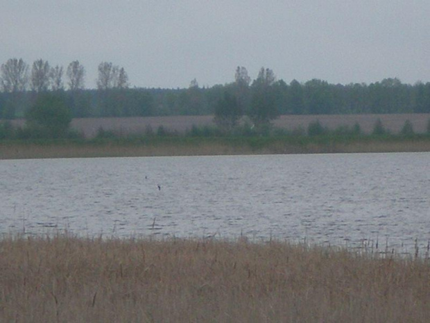 Majówka 2008