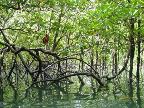 Zatoka Phang Nga