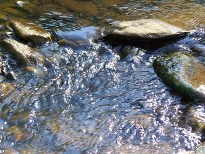 #BIESZCZADY #góry