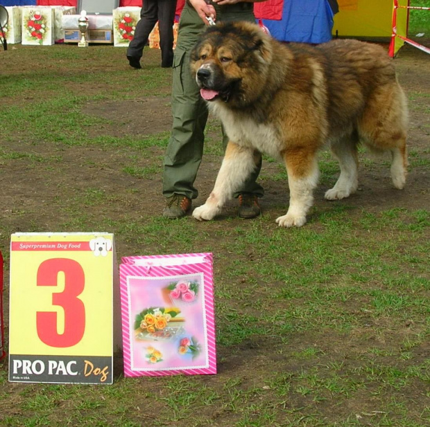 Klubówka moskwa 2008