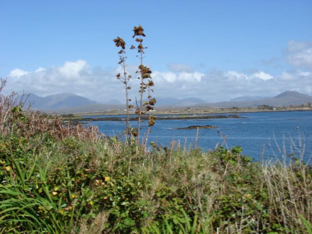 Connemara