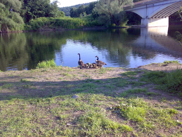 Ruhr