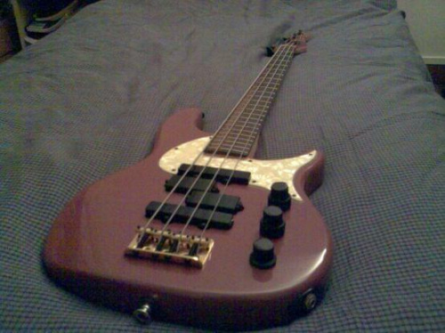 fender urge bass stu hamm