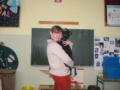 Mimi po znalezieniu :) w klasie #pies #psy #zwierzęta