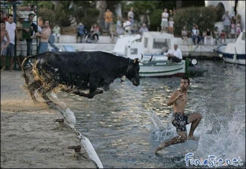 No, mówię ci!!! Facet chodził po wodzie, a byk latał!!! :] #humor #dowcip #śmieszne #smieszne