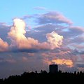 31.05.2008