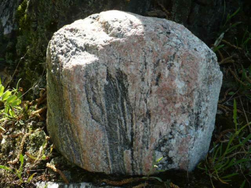 Na skalniakach też się dzieje - często się zastanawiamy, co musiały przejść kamienie, żeby tak wyglądać