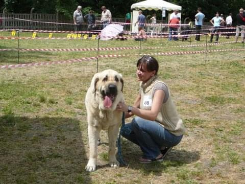 Elmo - Szczecin 2008