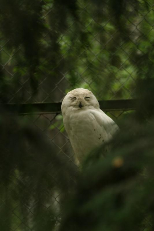 bydgoszcz zoo