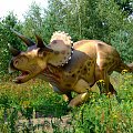 Triceratops #dinozaury #triceratops