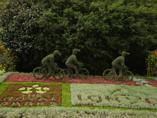 Tour de France #park #roślinki