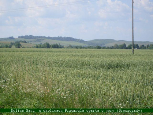 Prawobrzeżna część pradoliny Sanu w okolicach Przemyśla