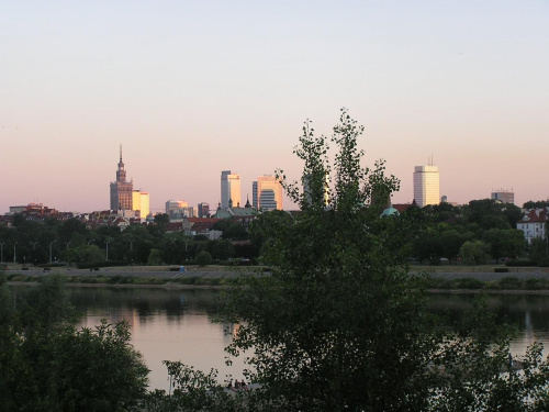 Warszawski Manhattan zza krzaczka :) #Warszawa #centrum #panorama