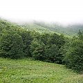 #bieszczady