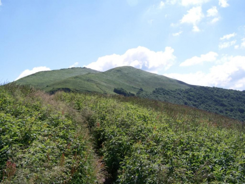 #bieszczady