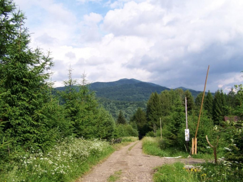 #bieszczady