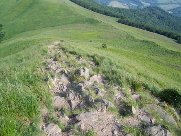 #bieszczady