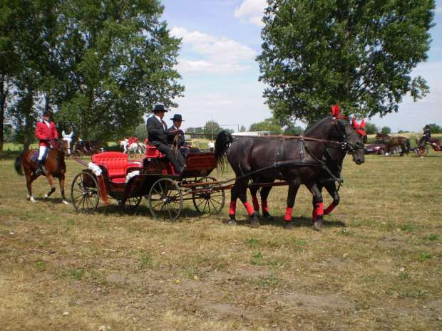 Wystawa w Pudliszkach .