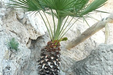 Tam w głębi widać mostki przy stromych ścieżkach #MonacoIMonteCarlo