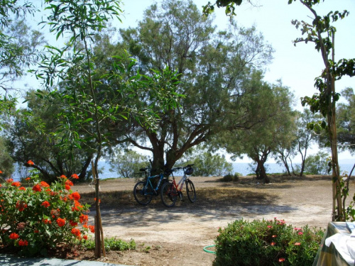 Naxos, plaża Kastraki