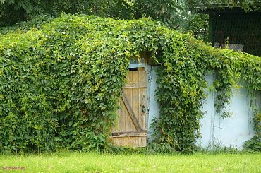 Pisz #BudowaObwodnicyWPiszu #Pisz #Gałczyniak #Pisa #Mazury #Remes
